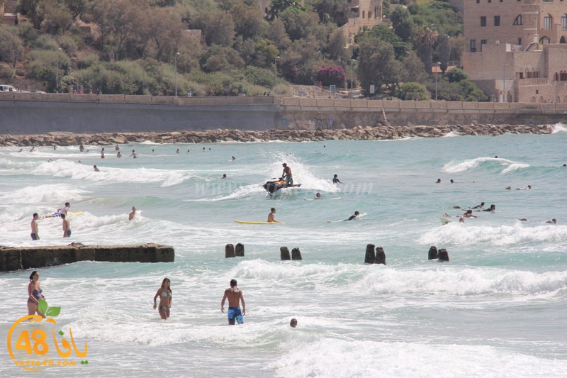 shab in loe (11).JPG